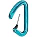 Petzl Ange L Carabiner Carabiners LG Blue