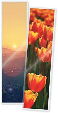 5 Mil Bookmark Large Laminating Pouches 2-3/8" x 9" (200/bx)