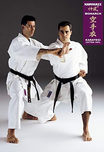 Kamikaze Monarch Kimono