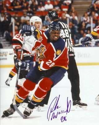 peter worrell florida panthers