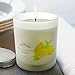 Natural Scented Candle with Organic Oil, Aromatheraphy Candle with Pure Essential Oil, Smokeless Candle, Huge Size Scented Candle (9oz/250g). (Lemon)
