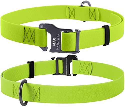 light green dog collar
