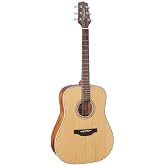 Takamine GD20-NS - Natural Satin