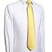 KissTies Ties for Men Gold Yellow Dots Necktie