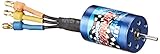 Hobby Wing 18T/2030 (5200kV) Sensorless Brushless Motor (1/18th and 1/16th Scale)