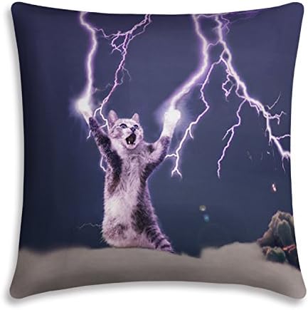 Fivebop Novelty Throw Pillow Cover,Home Decorative 3D Print Funny Cat Throw Pillow Cover Case, Set of 2