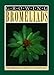 Growing Bromeliads by