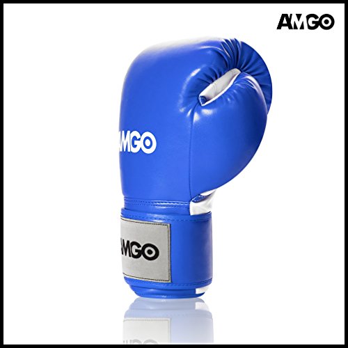 Amgo Professional Grade Design General All Purpose Boxing Training Gloves for Bag, Pad, Sparring Blue (14 oz)