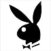 2 Playboy Bunny Logo Vinyl Decal Sticker Auto Car Black