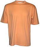 Tehama Mens Hang 'Em Cool S/s Mock Neck Golf Shirts (Sunset, L)