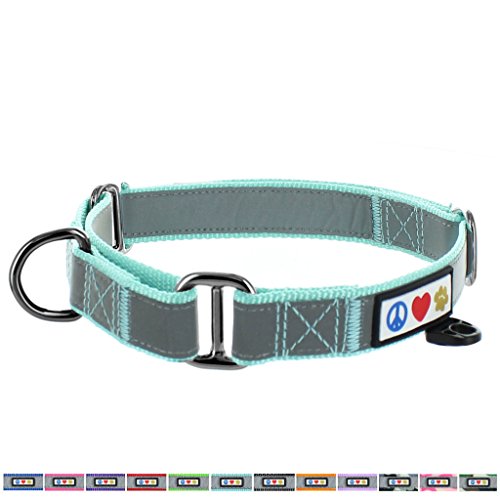 Pawtitas Pet Reflective Adjustable Soft Dog Collar Martingale Training Teal Small 5/8 Inch