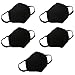 Marygel 5 Pcs Reusable Washable Activated Carbon Cotton Warm PM 2.5 Dust Masks Flu Masks(Black 5 Pcs)