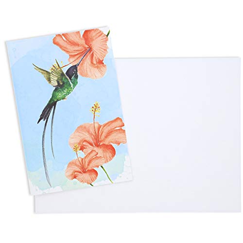Sustainable Greetings Blank Hummingbird Note Cards with Envelopes (48 Pack)
