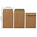 120 Pack Self-Adhesive Coin Envelopes Kraft Mini Small Parts Envelopes for Coin Seed Storage