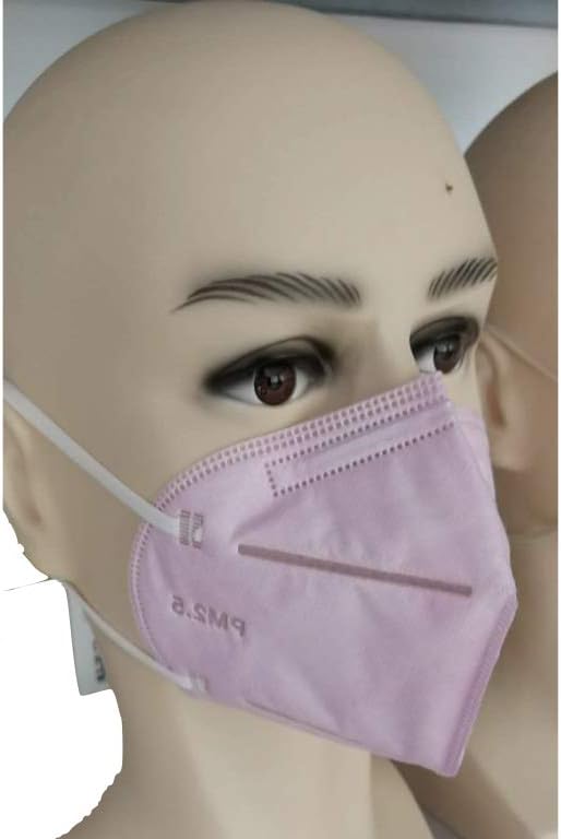 YJC Anti-Pollution Mask with N95 PM 2.5 Filter (Pack of 2) (Pink)