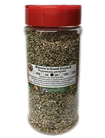 Nature's Good Guys 2,000 Live Adult Predatory Mites Packed in a 16 oz Container - P. persimilis a Predatory Mite Species for Spider Mite Control - Ships Next Business Day!