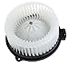 SCITOO HVAC Heater Blower Motor with Fan Cage Front 700005 for Acura for EL 2001-2005,for Honda for Civic 2001-2005,for Honda for CR-V 2002-2006,for Honda for Element 2003-2011
