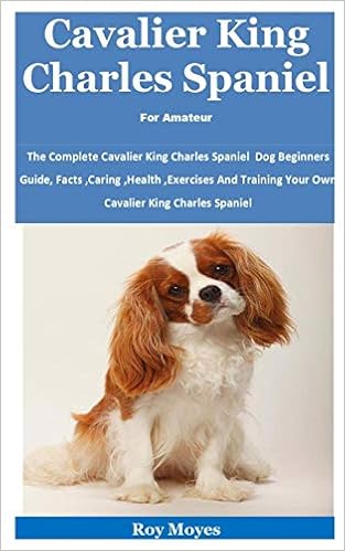 cavalier king charles cavalier