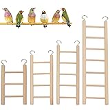 Bird Parrot Toys, 4 Sizes Wooden Bird Step