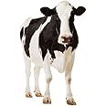 Cow - Wildlife/Animal Lifesize Cardboard Cutout / Standee / Standup