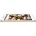 Orbic Slim + X - Factory Unlocked Phone - (Gold)