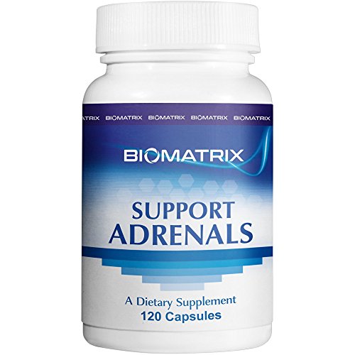 Expert choice for adrenal support with dhea