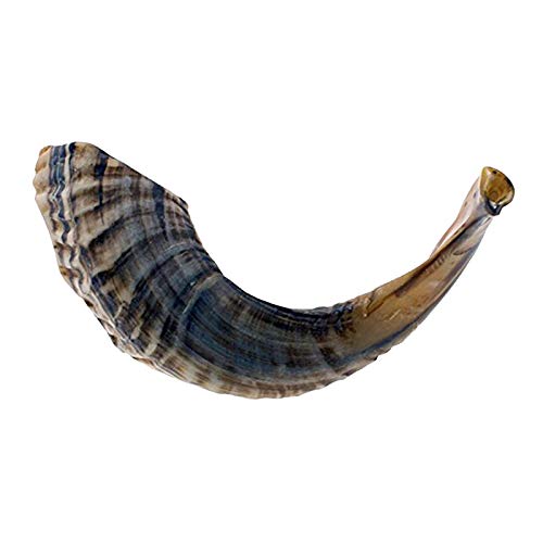 KOSHER ODORLESS NATURAL SHOFAR Genuine Rams Horn Smooth Mouthpiece