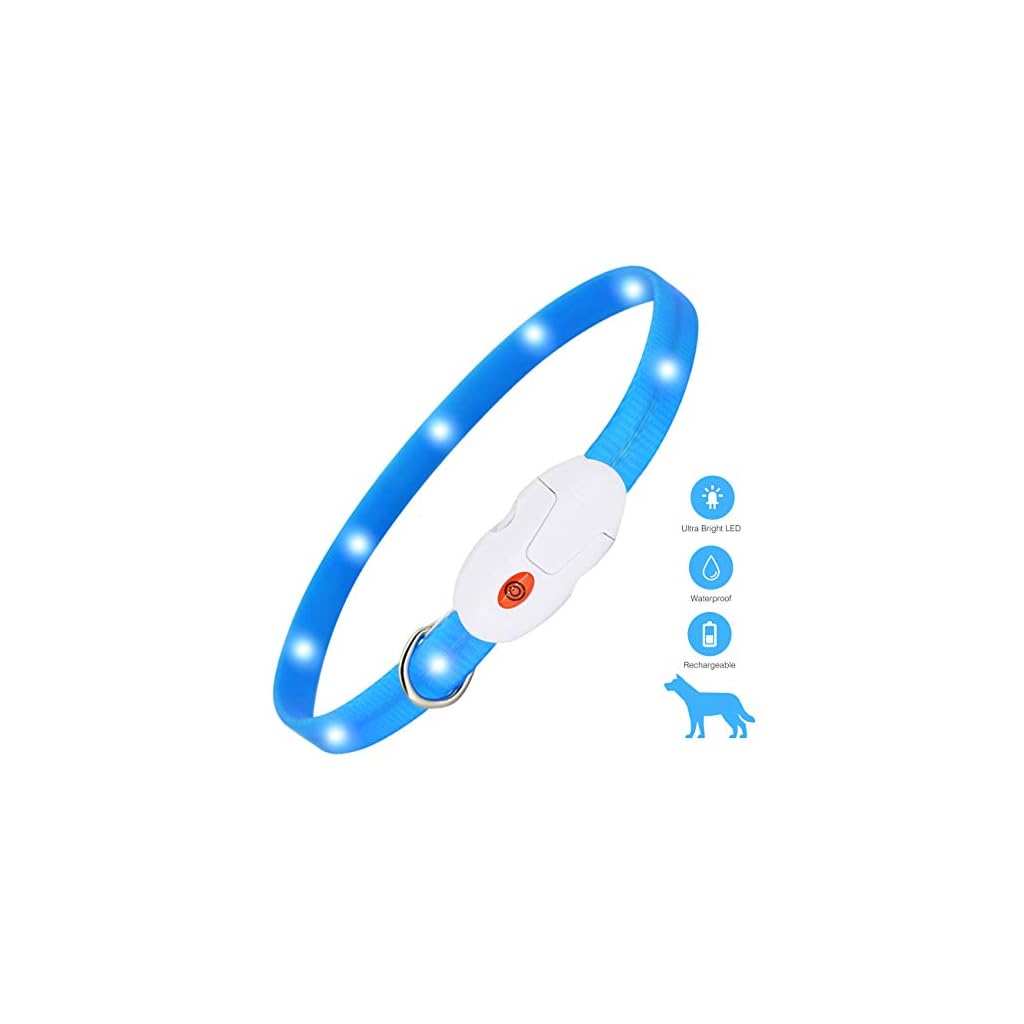 kolpop LED Leuchthalsband Hund, Hundehalsband Leuchtend USB