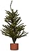 Darice Mini Mixed Pine Tree with Wood Base (1pc), Green – Spread Holiday Décor Around Your Home – Artificial Tree Has 144 Tips and Works Great with Mini Ornaments and Lights, 15”