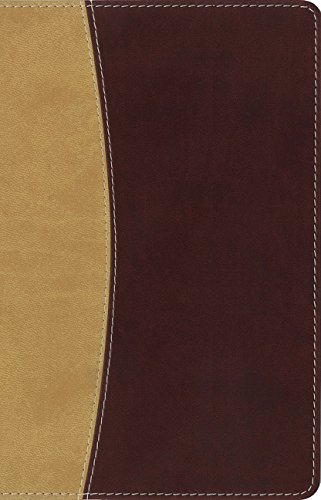 BEST Amplified Holy Bible, Compact, Leathersoft, Tan/Burgundy: Captures the Full Meaning Behind the Origi [Z.I.P]