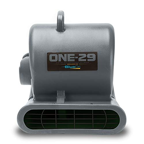 BlueDri One-29 1/3 HP High Velocity Heavy Duty Portable Air Mover Floor Carpet Dryer Blower Fan for Water Damage Equipment Restoration, Gray