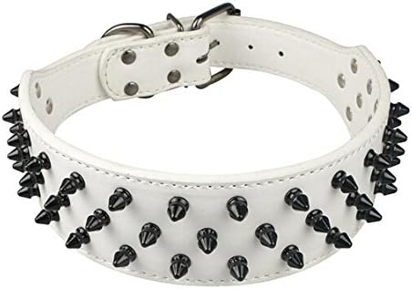 cool leather dog collars