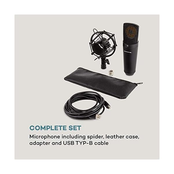 auna MIC-920B - USB Kondensator-Mikrofon, Nierencharakteristik, Metallgehäuse, Frequenzbereich: 30 Hz - 18 kHz, 22 mm… – Bild 6