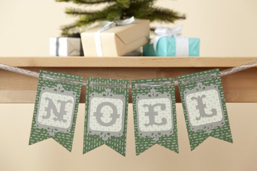 Cricut Projects Cartridge for Paper Crafting, Home for the Holidays Fall and Winter