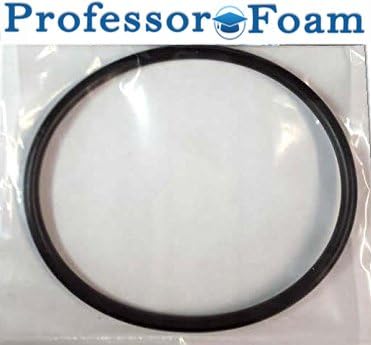 Pentair 350013 Lid O-Ring Replacement Pool and Spa Pump PackageQuantity: 1, Model: 350013, Home &amp; Garden Store