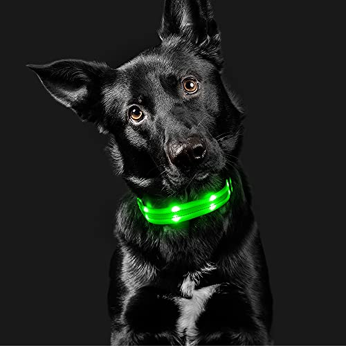 Candofly Rechargeable Light Up Dog Collars - Nylon Breathable LED Dog Collar Double Lights Glowing Pet Collars Perfect for Night Walking Keep Your Dogs & Cats Be Safe (Green, Small)