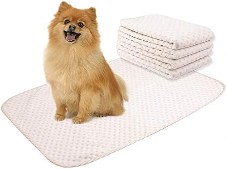 empapadores para perros amazon