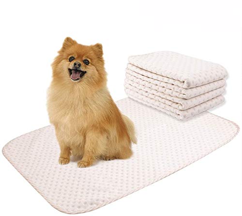 Yangbaga 4 Pack Washable Reusable Dog Training Pad - Superior Absorbent,Waterproof,Odor Control - for Puppy Potty Training, Incontinence, Travel, Daily Night Use - Medium Size 20×28