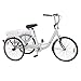 DoCred Adult Tricycles 1/7 Speed Three Wheel Bike Cruise Trike, Adult Tricycle 20 Inch for Men/Women/Seniors/Young (20 Inch, 1-Speed, White)thumb 2