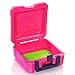 Delicious Agent Insulated Lunch Box with Snap in Ice Pack, Dishwasher Safe Pink