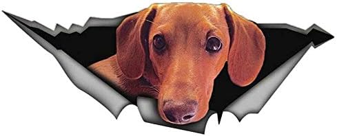Amazon Changd ソーセージ犬のステッカー引き裂かれた金属の反射ビニール人格ペット犬の車の装飾13x5cm ステッカー デカール 車 バイク