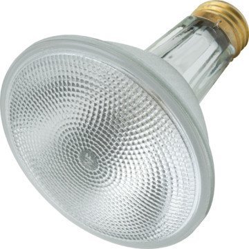 Sylvania 50 Watt Par 30 Long Neck Flood Bulb