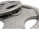 Body Solid OST255 Grey Hand Grip Olympic Plates (255-Pounds)