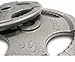 Body Solid OST255 Grey Hand Grip Olympic Plates (255-Pounds)
