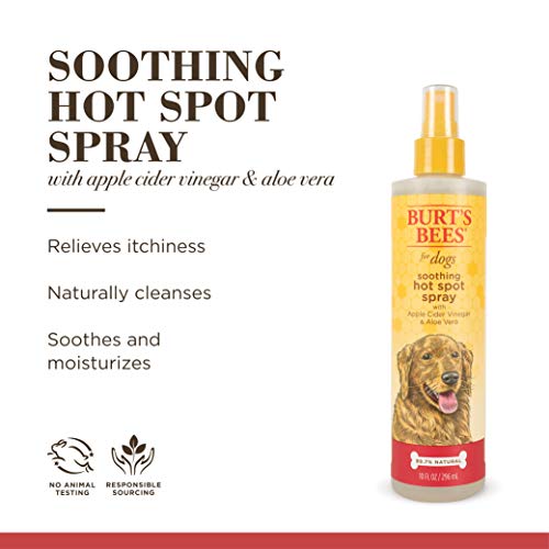 Burt's Bees for Dogs Hot Spot Spray for Dogs Spray for Dog Hot Spots