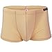 FEESHOW Men's Silky Boxer Briefs Shorts Bugle Pouch Underwear (Nude, X-Large)