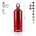 SIGG - Recycled Metal Water Bottle - Traveller - Made in Switzerland - Carbonated Drinks - BPA-Free - 34 Oz