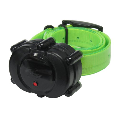 DT Systems Add-On or Replacement Training Collar Receiver, Fluorescent Green