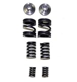 Diesel Care 1994-1998 12 valve 12v Dodge Cummins 3000 4000 Governor spring kit , GSK