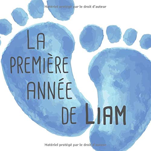 La Premiere Annee De Liam Album Bebe A Remplir Pour La Premiere Annee De Vie Album Naissance Garcon French Edition Publishing Babymemories Fr Amazon Com Books